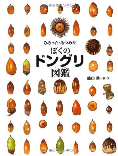 ぼくのドングリ図鑑の画像