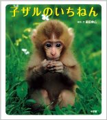 子ザルのいちねんの画像