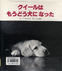 クイ－ルはもうどう犬になったの画像