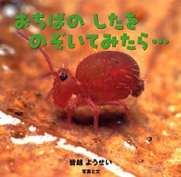 『おちばのしたをのぞいてみたら...』画像