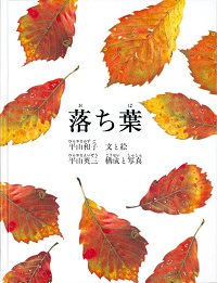 『落ち葉』画像