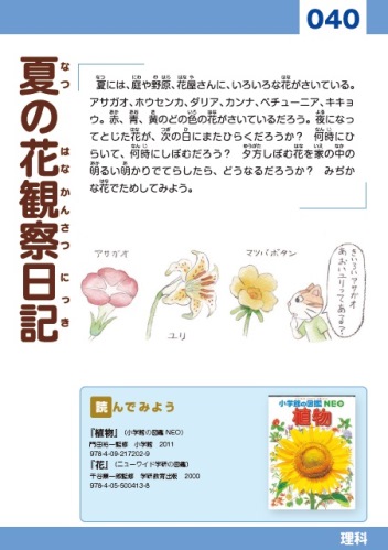 カード040 夏の花観察日記の画像