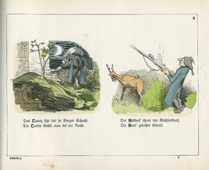A-B-C-Buch aus dem Thierreich in Reimen und Bildern.（詩と絵による動物界のABCの本）