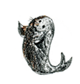 あしか