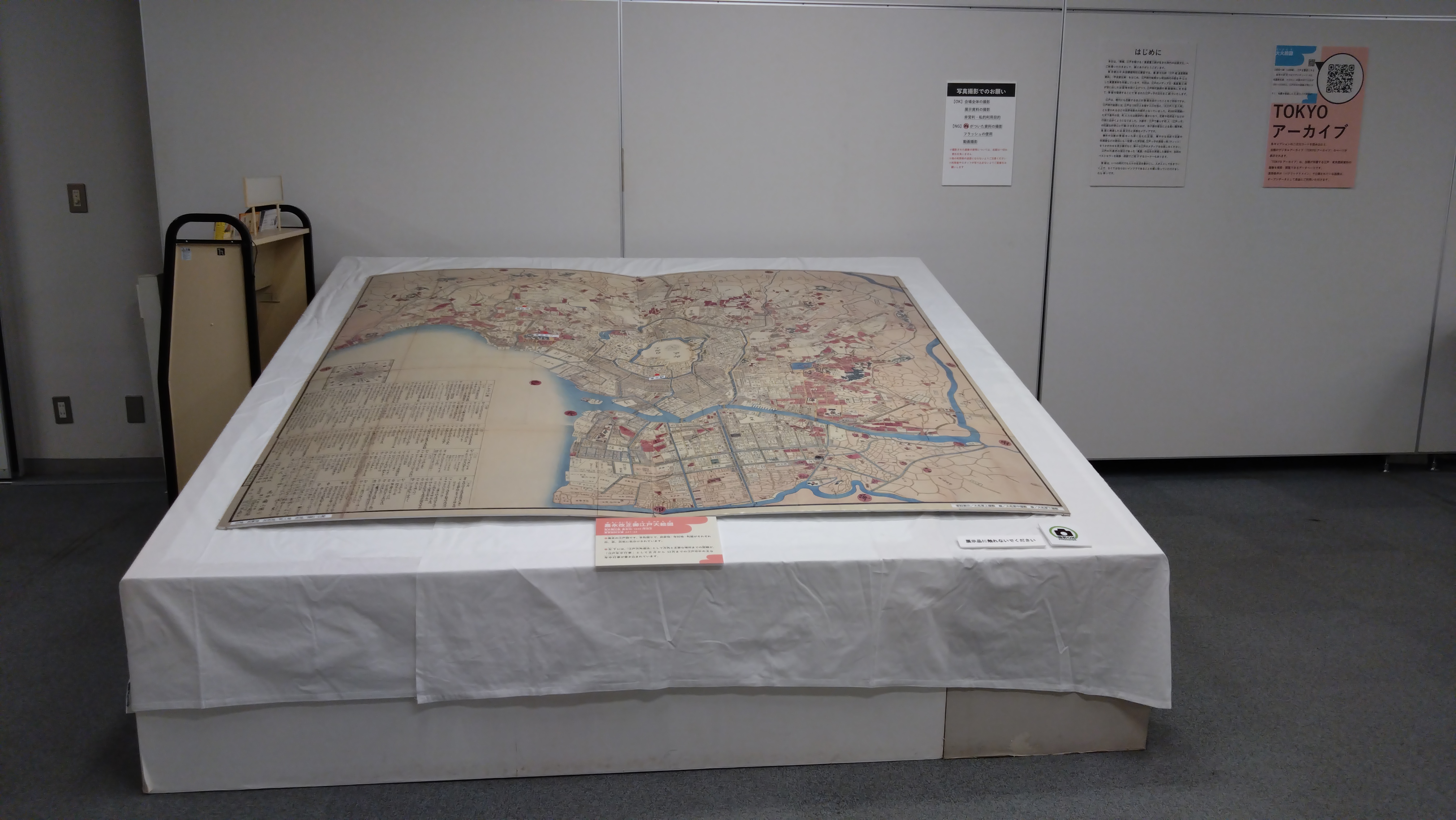 『嘉永改正御江戸大絵図』のパネル
