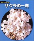 サクラの1年の画像