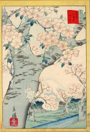 Thirty-six selected flowers: Koganei-sakura of the East Capital