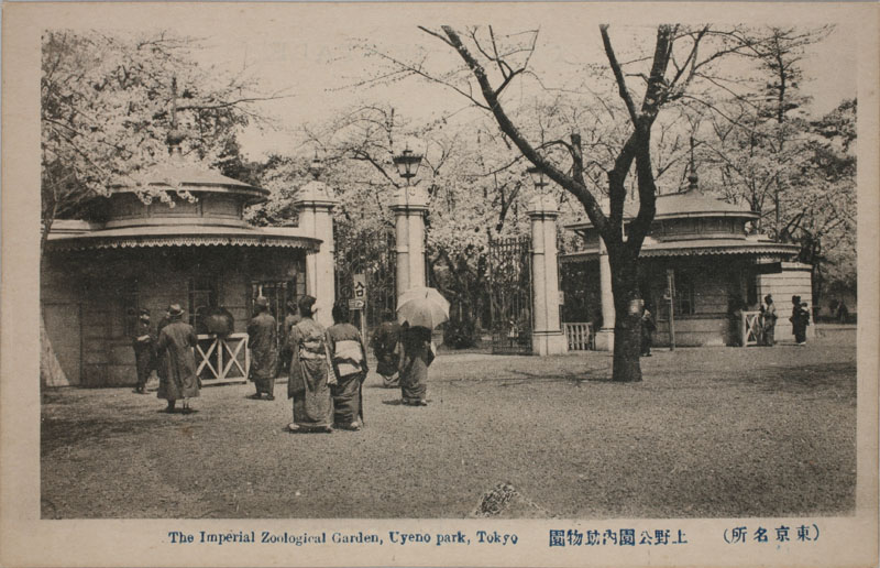  The Imperial Zoological Garden Uyeno park Tokyỏ摜