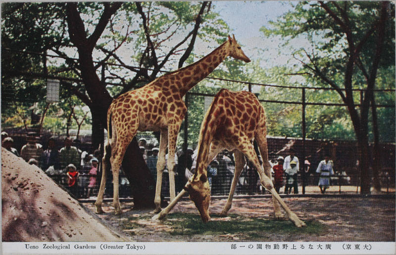 哌 LȂ쓮̈ꕔ Ueno Zoological Gardens (Greater Tokyo)̉摜