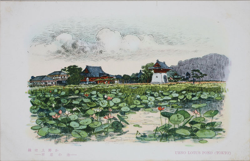 sE̒r UENO LOTUS POND (TOKYO)̉摜