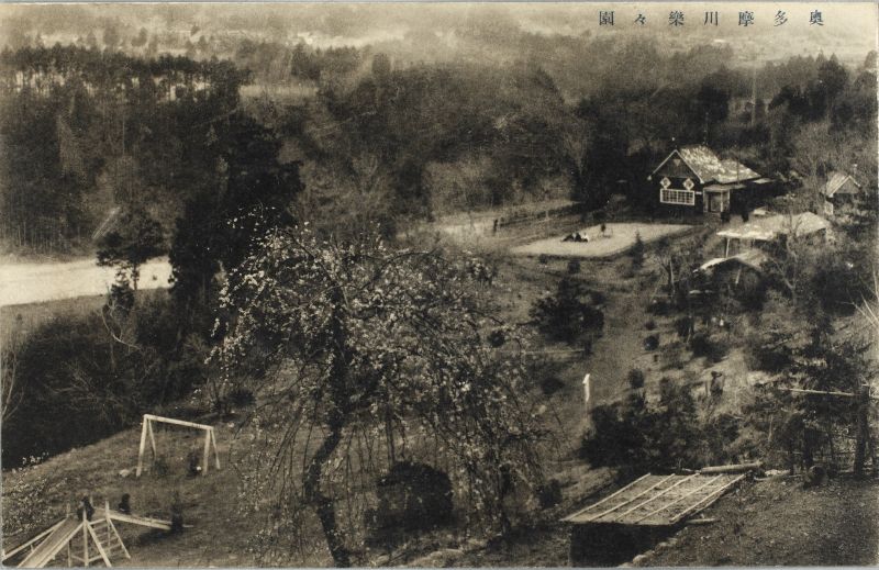 yX̉摜