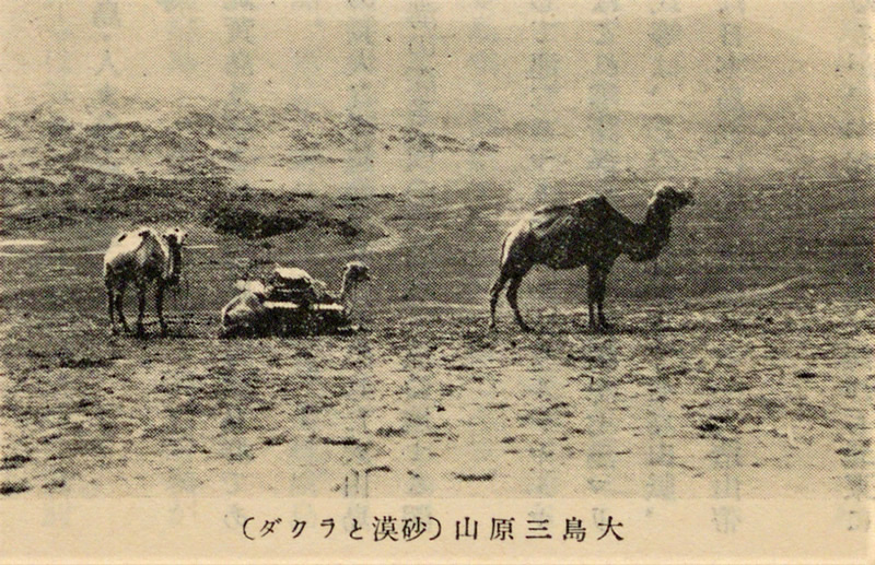 哇ORiƃN_j̉摜