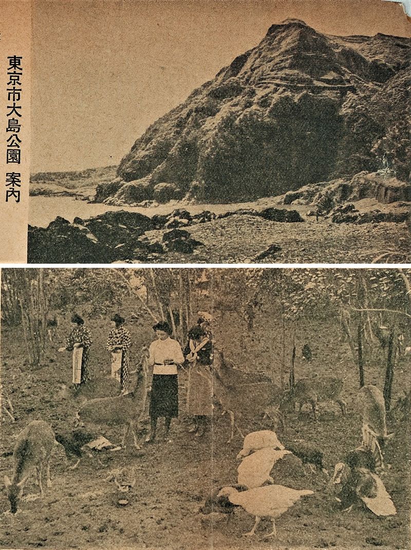 s哇̉摜
