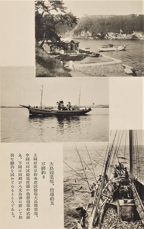 哇ƏAwDyъނ̉摜