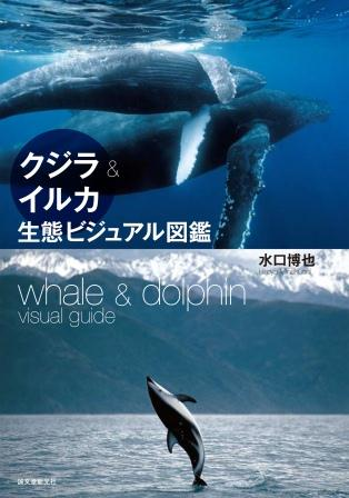 クジラ＆イルカ生態ビジュアル図鑑の画像