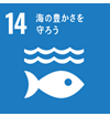 14 海の豊かさを守ろう